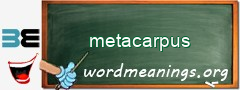 WordMeaning blackboard for metacarpus